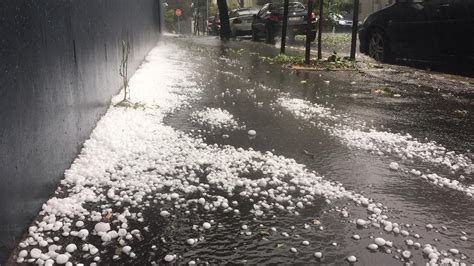 sydney hail